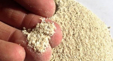 Jak používat organická hnojiva z rybí a kostní moučky na zahradě